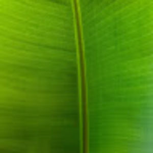 Meet your Posher, Nathalie